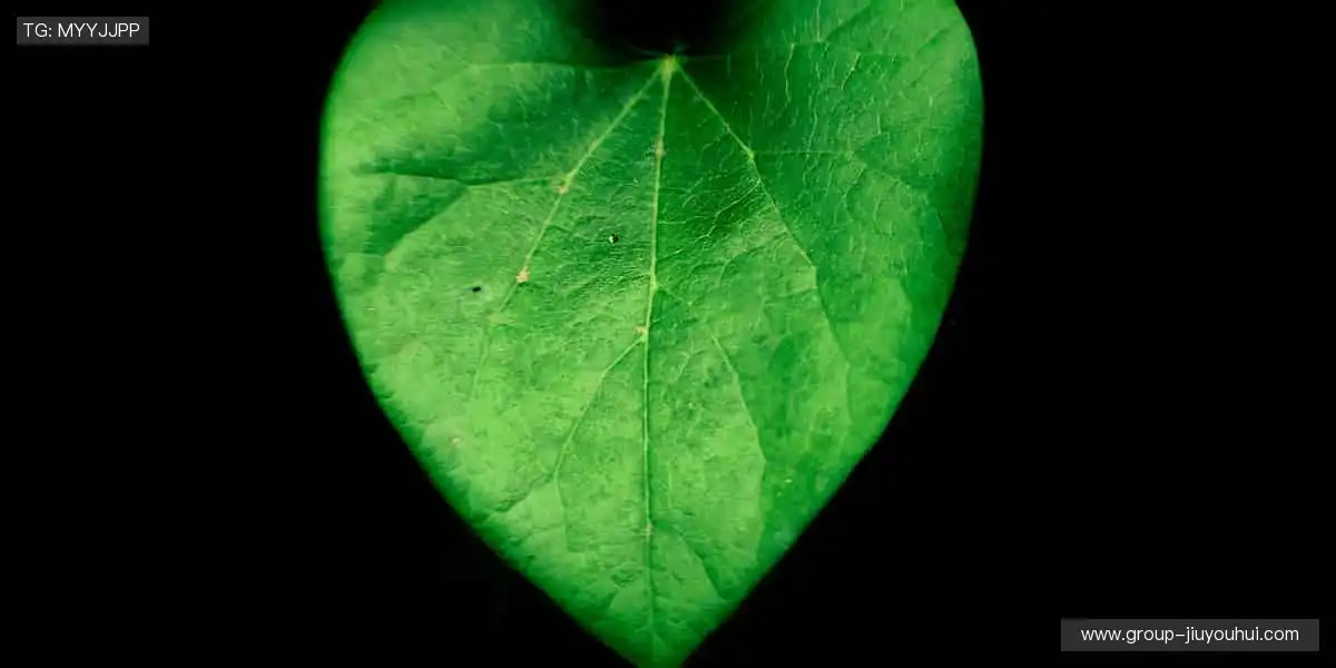 即刻购票，锁定你的热血席位！🎫⚡